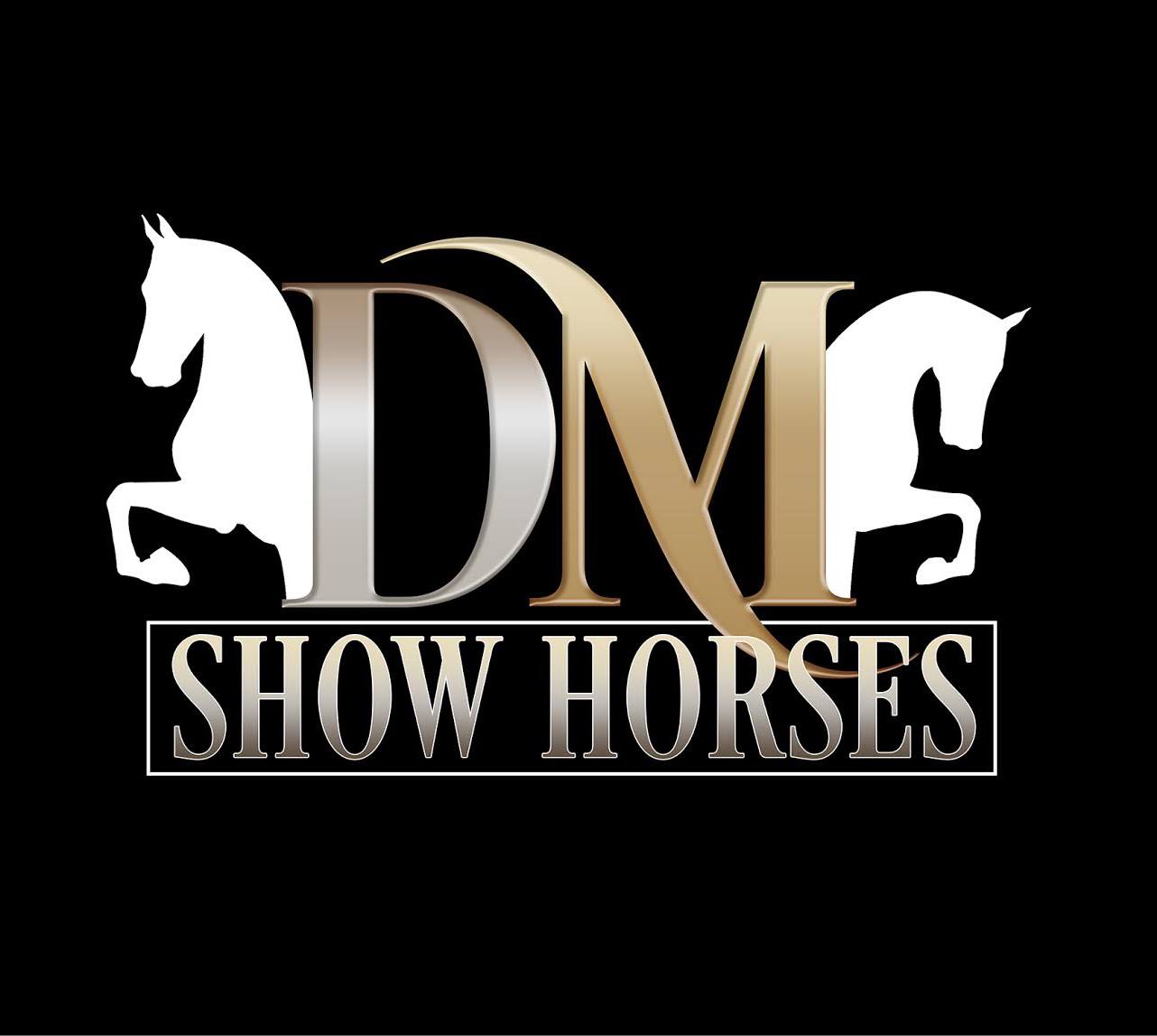 DM Show Horses - Arabian Horse Exchange