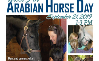Meet an Arabian Horse Day