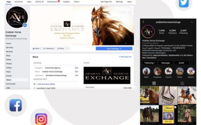 Social Media For Horse People