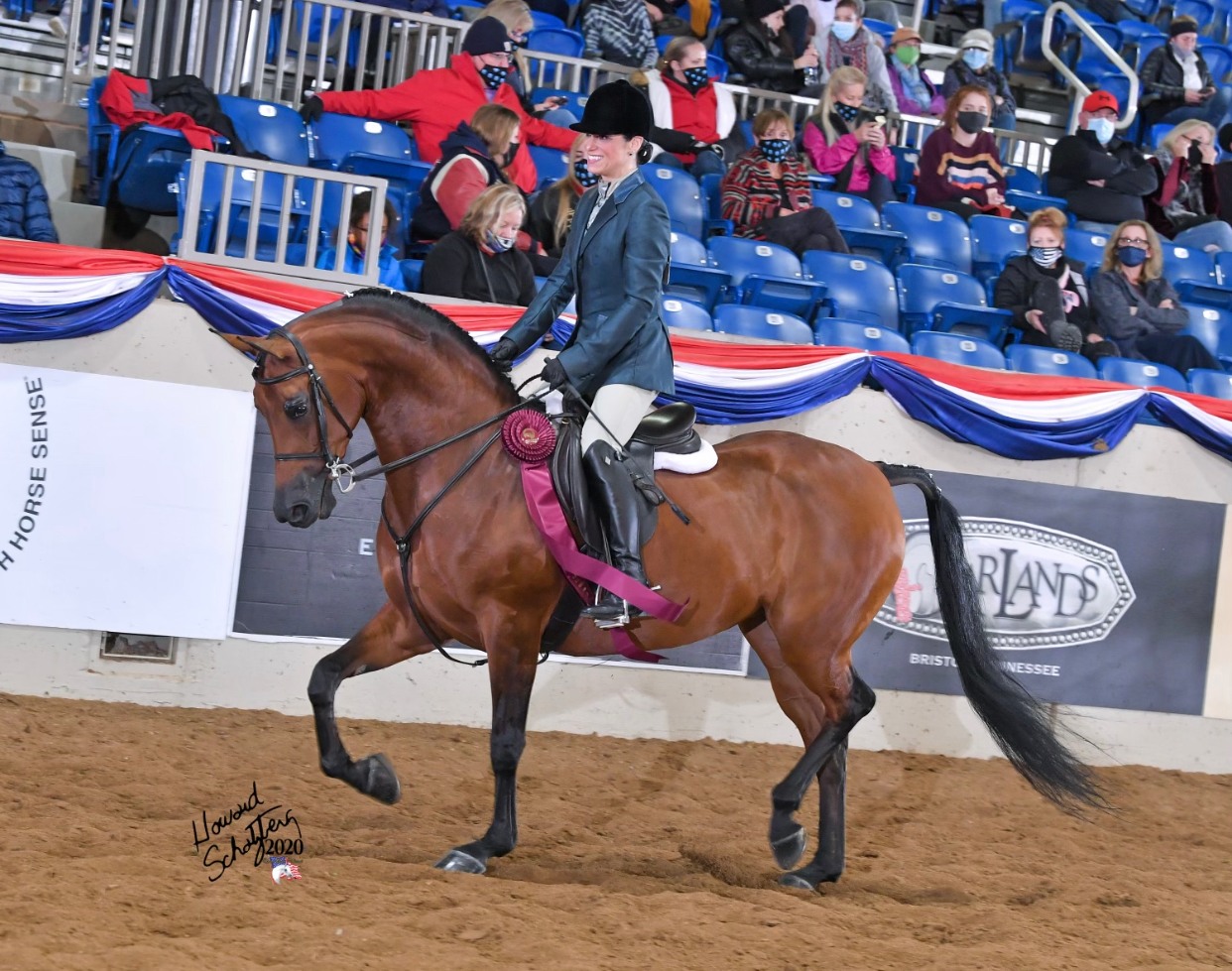 ROL Cymply Specyal, half-arabian mare for sale, half-arabian hunter mare, half-arabian hunter