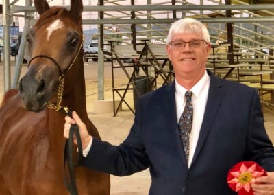 Bahira OB, arabian mare, arabian mare for sale, arabian halter mare