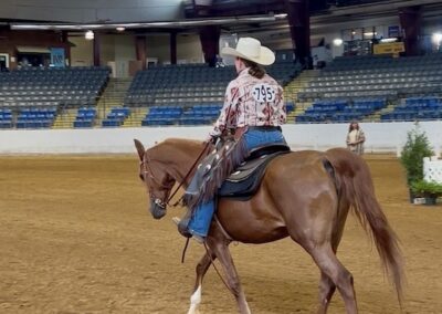 Giulia RL, Arabian mare, Arabian ranch riding, Arabian ranch riding mare for sale