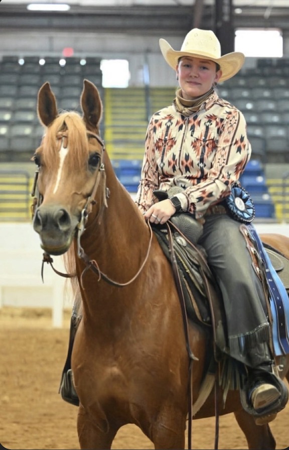 Giulia RL, Arabian mare, Arabian ranch riding, Arabian ranch riding mare for sale